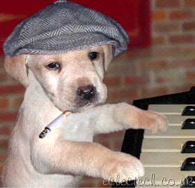 Jazz dog