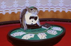 sugar bush squirrel blackjack dealer poker series