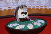 sugar bush squirrel as black jack dealer in las vegas casino