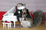 sugar bush squirrel trombone virtuoso white piano