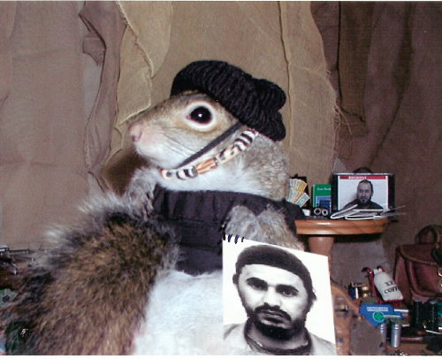 Abu Musab al-Zarqawi has been terminated