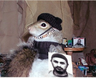 Sugar Bush goes undercover in Iraq to find al-Zarqawi