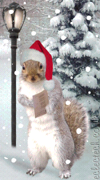 Caroling squirrel