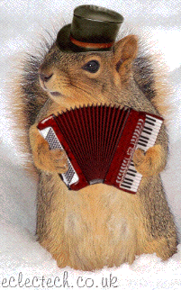 accordian squirrel